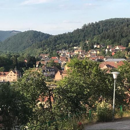 דירות Rothau Chez Jose מראה חיצוני תמונה